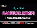 Download Lagu Eja SM - BAKUBUA MIMPI ( KARAOKE ) Nada Rendah Wanita