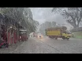 Download Lagu The biggest extreme rainstorm in the history of the village, the strong wind storm hit my umbrella