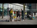 Download Lagu Trailer Teledoc Campus - Plastic dromen