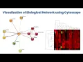 Visualization of Biological Network using Cytoscape