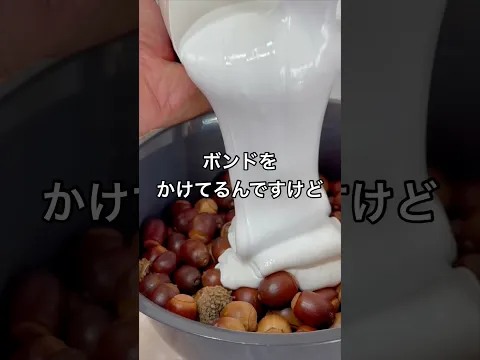 どんぐりの塊で瓦割りしてみた #shorts #おもしろ動画 #やってみた