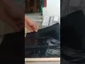 Download Lagu Cara agar Tikus yang kena jebakan Lem Karpet Nextrap Mudah di ambil
