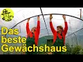 Download Lagu Bestes Gewächshaus! Wichtige Tipps zu Tomaten, Gurken, Melonen. Luzie im Rausch und junge Schwalben.