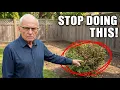 My 14 Most Valuable Landscaping Tips for ANY Garden