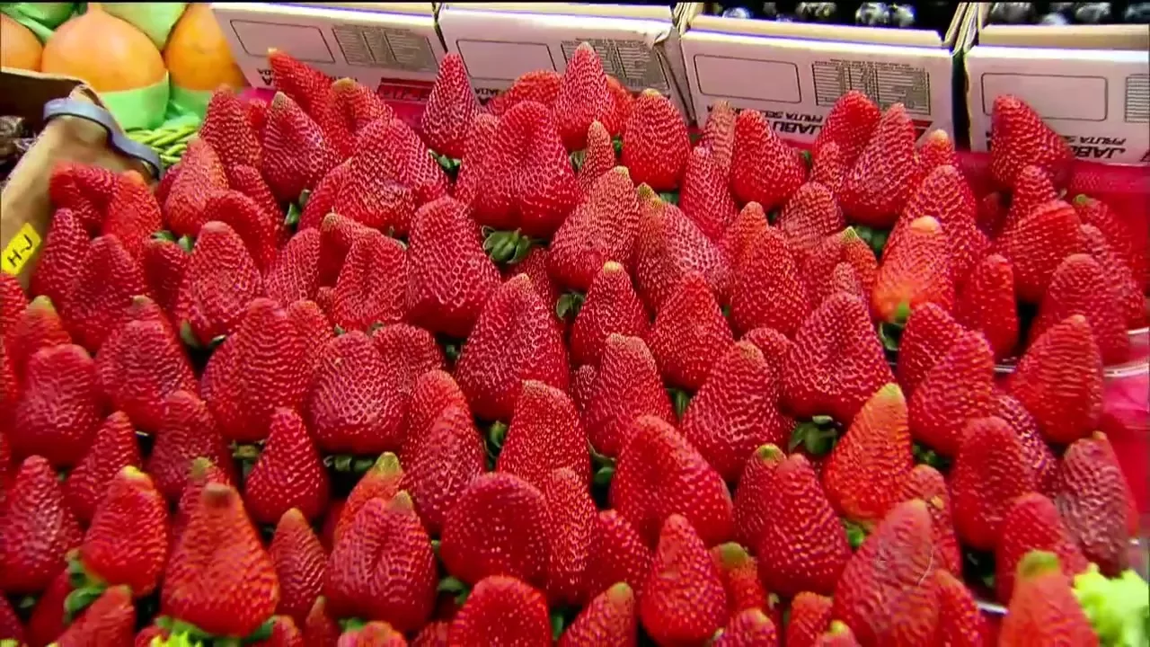 Mitos e Verdades: alimentos para prevenir e curar gripes e resfriados