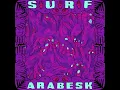 Daha Kaç Çeşit Hoşçakal (Surf Arabesk 1.1)