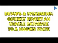 DevOps SysAdmins Quickly revert an Oracle Database to a known state 3 Solutions