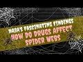 How Do Drugs Affect Spider Webs NASA s Fascinating Findings