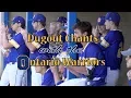 Dugout Cheers With The Ontario Baseball Team