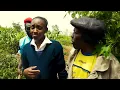 Diamond Platnumz Ft Mr Blue & Jay Melody - Mapoz PARODY By Dogo Charlie,Blackie & Iceline360