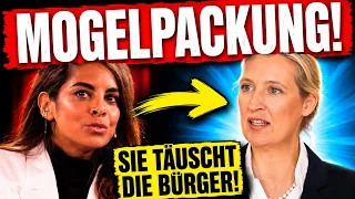 vor 3 minuten jetzt fliegt alles auf pl tzlich schaltet sich afd ein