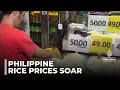 Lagu Filipijnse rijstsubsidies: sommige Aziatische landen worstelen met stijgende prijzen