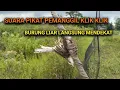 Lagu SUARA PIKAT PRENJAK KLIK SUARA PIKAT KLIK KLIK PALING AMPUH TERBARU 2026