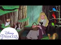 Aurora s Forest Friends Sleeping Beauty Disney Princess