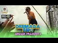 Lagu ANGGUN PRAMUDITA - DERMAGA BIRU || MELON MUSIC (LIVE PURWOASRI BERSATU OFFICIAL)