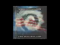 norman cook featuring lester -for spacious lies-12 inch version