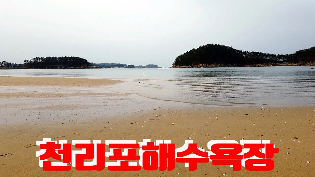 태안 천리포해수욕장 サムネイル