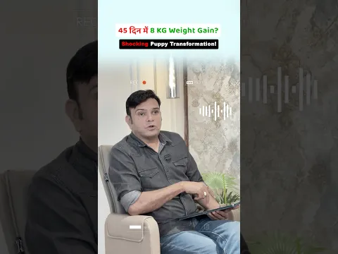 45 दिन में 8 KG Weight Gain❓Shocking Puppy Transformation!❗️