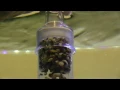Fluval FX Gravel Vac Kit - Video 3 of 2