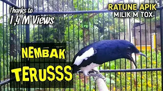 kacer gacor full isian tembakan mewah