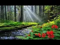 Download Lagu Nature’s Serenity🌿 Beautiful Relaxing Music, Gentle Sounds \u0026 Tranquil Views to Heal the Soul