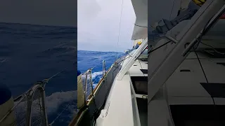Sailing Through the Rough Pacific Ocean #captaingermanexploring #sailing #boatlife