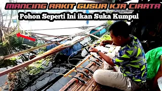 Download SENI ‼️MANCING RAKIT GUSUR CIRATA - HANYA ADA DI CALINCING MP3