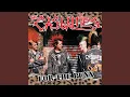 Punx \u0026 Skins