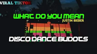 Download WHAT DO YOU MEAN / DISCO BUDOTS REMIX / TIKTOK TREND (DJARVINREMIX) MP3