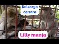 Download Lagu Lilly is spoiled by her father