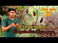 Download Lagu Cara mudah pikat burung konin/kolibri ninja ternyata disini sarangnya konin