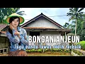 Download Lagu BONGAN ANJEUN,.LAGU POP SUNDA LAWAS SEDIH TERBAIK,DI TEMANI SUASANA PERKAMPUNGAN YANG INDAH DAN ASRI