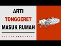 Arti Tonggeret Masuk Rumah