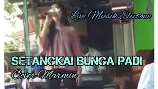 Download SETANGKAI BUNGA PADI // Live Musik Electone // Fardiva Electone MP3