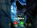 Download Lagu Instrumental New Ringtone//Instrumental Ringtone Song//Instrumental Ringtone Flute(4)