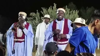 في ليلة زينة تلاقينا    محفل أولاد جمعة عند شولي في المحبوبين                    دندنها
