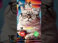 Download Lagu Cute Baby Cat Ringtone Sound Effect 🔥 john cat calling me #shorts #ringtone #cat