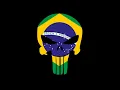 The Brazilian Punisher