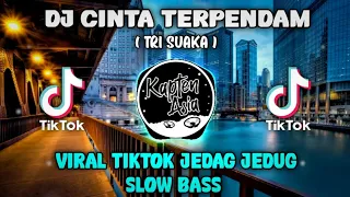 Download DJ CINTA TERPENDAM ( TRI SUAKA ) TIKTOK VIRAL JEDAG JEDUG SLOW BASS MP3