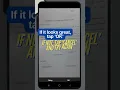 Download Lagu Capture Your Document
