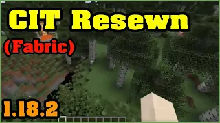 CIT Resewn Fabric Mod 1 18 2 How To Install for Minecraft