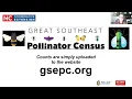 GSEPC Get to Know the Insects Great SE Pollinator Census Insect ID Webinar July 2025