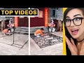Most Satisfying s to Watch Before Bed SSSniperWolf