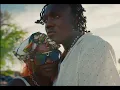 Download Lagu Afro Zaga – Fine Girl (Official Music Video) #finegirl 