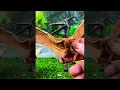 NEW Pterodactyl Pteranodon and Dimorphodon Dinosaurs