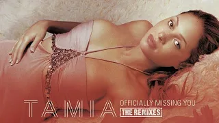 Download Officially Missing You - Tamia (2004) audio hq MP3