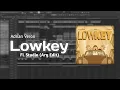 Download Lagu Adnan Veron, Erga, Liquid Silva - Lowkey (Ary Edit) Free FLP