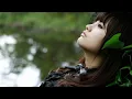 Li fei hui/ Deng ni deng dao wo xin tong