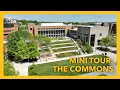 Come Visit the Commons With Us Mini Tour