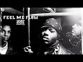 Lagu Naughty By Nature - Feel Me Flow (Radio Edit)